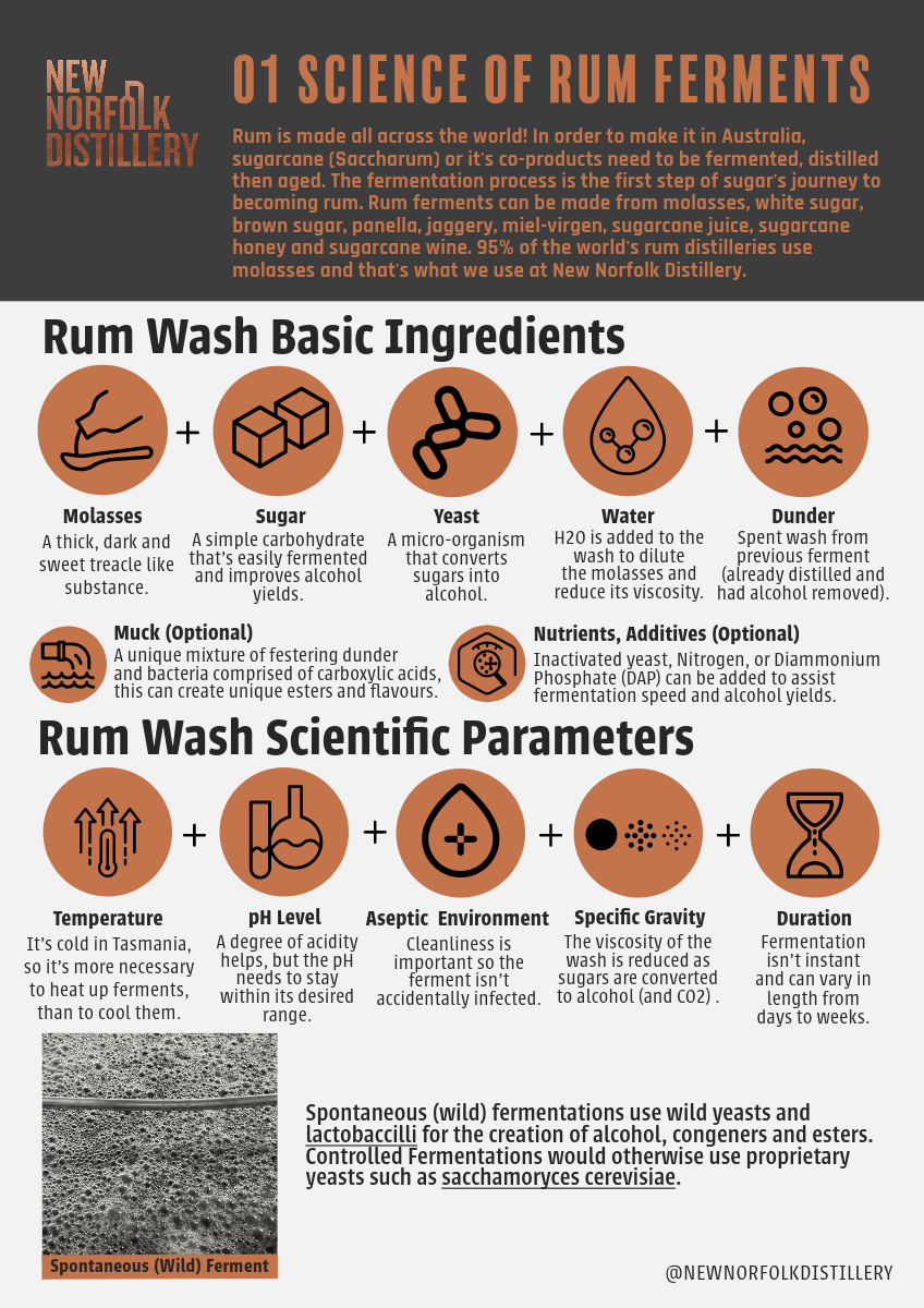 Rum Ferments: Infographic 01